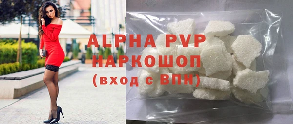 винт Лагань