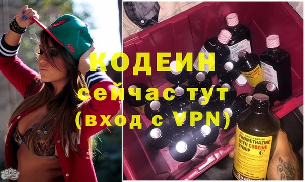 винт Лагань