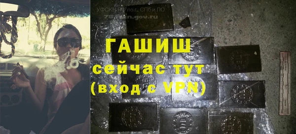 винт Лагань