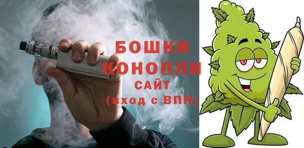 винт Лагань