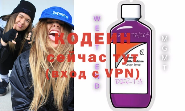 винт Лагань