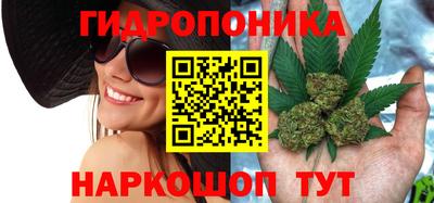 прущие крисы Севастополь