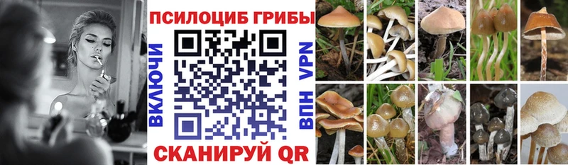 купить  сайты  Обнинск  гидра маркетплейс  Псилоцибиновые грибы прущие грибы 