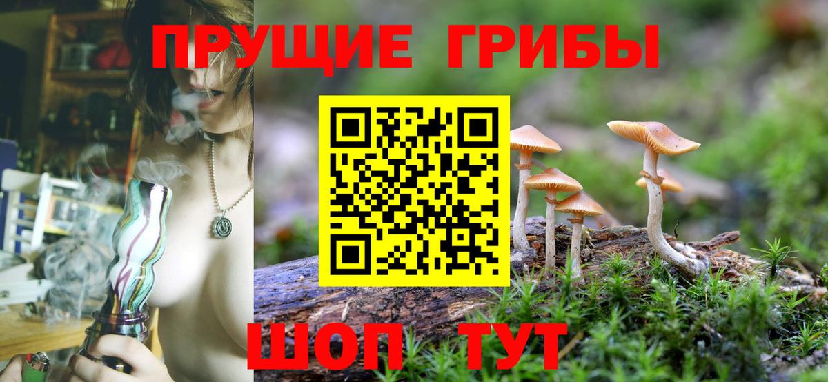 Галлюциногенные грибы ЛСД  Вход с VPN  Псилоцибиновые грибы мицелий  Обнинск 
